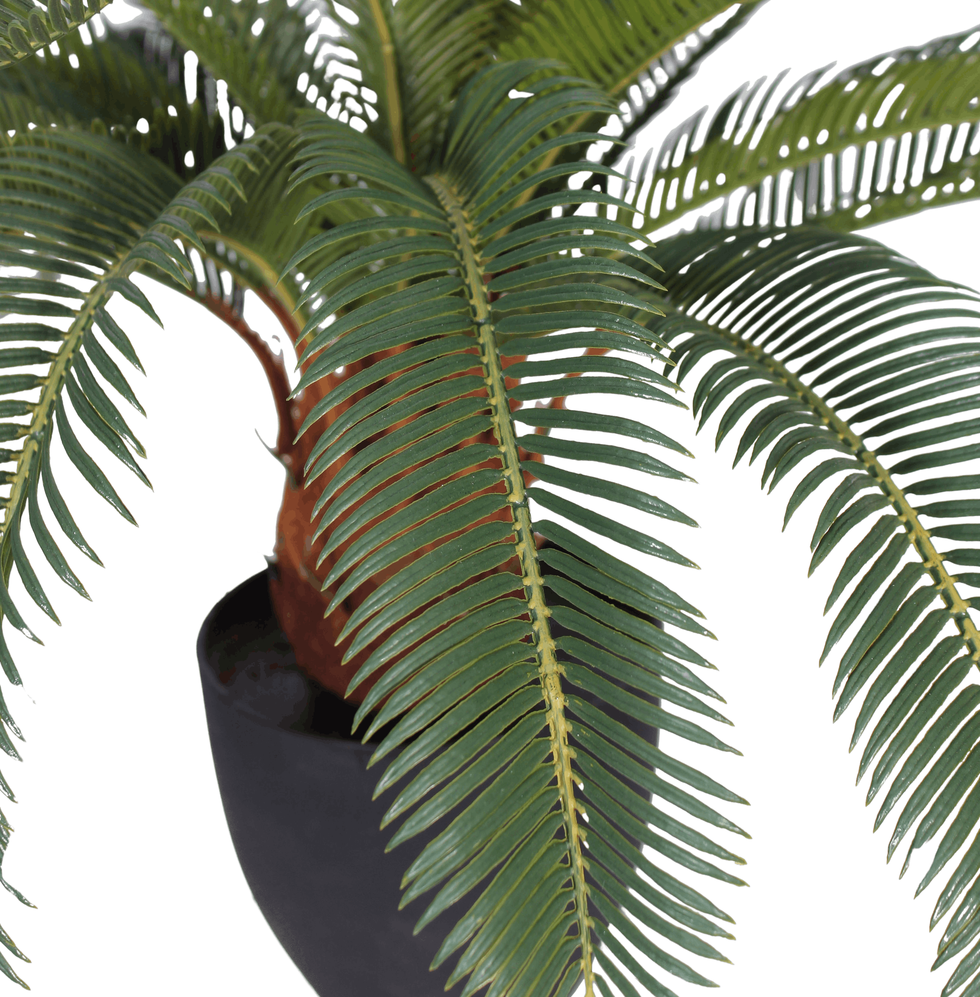 Cycas Tropicale 70 cm Leaf Design UK-Palma Artificiale Grande